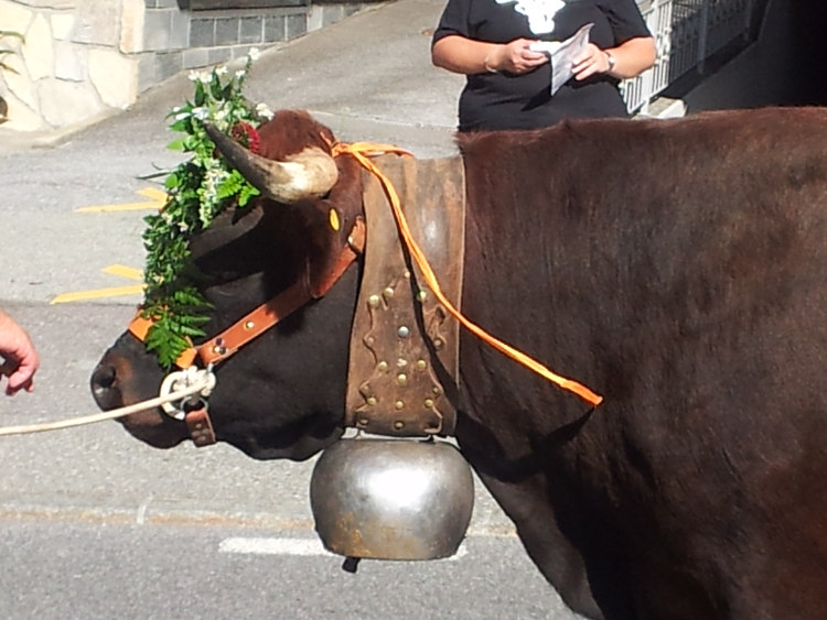 Švýcarsko - Wallis - i zde najdete slavnosti shánění stád